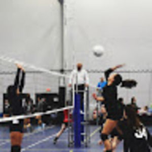 Meet your Posher, Mallory